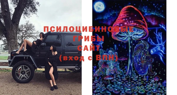 мдпв Лабытнанги