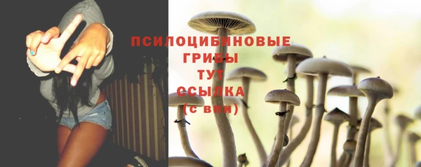 мдпв Лабытнанги
