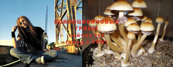 мдпв Лабытнанги